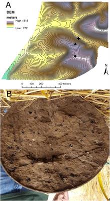 Mining the Drilosphere: Bacterial Communities and Denitrifier Abundance in a No-Till Wheat Cropping System